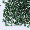 Glass Cylinder Beads SEED-Q036-01A-A03-3