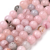 Natural Cherry Blossom Jasper Beads Strands X-G-Q462-63-10mm-1