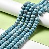 Natural Gemstone Beads Strands G-F730-04C-2