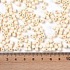 Opaque Acrylic Beads OACR-B025-06K-4