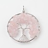 Tree of Life Natural Rose Quartz Big Pendants X-G-L455-D07-1
