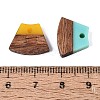 Opaque & Transparent Resin & Walnut Wood Pendants RESI-N053-34-4
