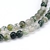 Natural Moss Agate Round Bead Strands G-J303-07-4mm-3