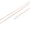 10M 304 Stainless Steel Wire TWIR-N005-0.3mm-RG-2