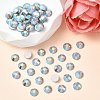 Preciosa® MAXIMA Crystal No Hotfix Flatback Stones Y-PRC-NSS10-31110-200-2