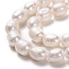Natural Cultured Freshwater Pearl Beads Strands PEAR-L033-77-01-2