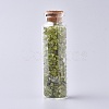 Glass Wishing Bottle DJEW-L013-A11-1