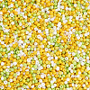 Opaque Glass Round Seed Beads GLAA-TAC0025-07A-07-3