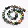 Natural Indian Agate Beads Strands G-G542-8mm-19-2