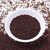 MIYUKI Delica Beads SEED-MY11-DB1392-2