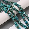 Natural Turquoise Chip Beads Strands G-D093-A01-2