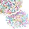 600Pcs Drawbench Style Glass Seed Beads SEED-PA0001-25C-1