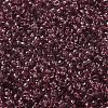 Transparent Colours Glass Round Seed Beads SEED-B001-06A-01-3