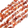 Natural South Red Agate Chips Bead Strands X-G-M205-40-1