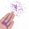 11/0 FGB Grade A Baking Paint Glass Seed Beads X-SEED-N001-A-1052-4