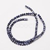 Natural Sodalite Round Bead Strands G-P072-27-10mm-2