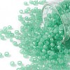 TOHO Round Seed Beads SEED-JPTR08-0156-1