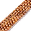 Natural Maifanite/Maifan Stone Beads Strands G-P451-01B-C-1