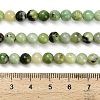 Natural Serpentine Beads Strands G-Z110-C04-6mm-5