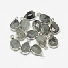 Natural Labradorite Pendants G-Q494-82P-01-1
