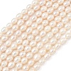 Natural Cultured Freshwater Pearl Beads Strands PEAR-D003-01D-15-2