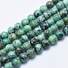 Natural African Turquoise(Jasper) Beads Strands G-E444-47-10mm-1