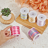 5 Rolls 5 Colors Segment Dyed Nylon Rattail Satin Cords NWIR-FH0001-04B-4