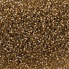 MIYUKI Delica Beads SEED-X0054-DB0181-3