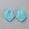 Transparent Frosted Acrylic Pendants MACR-S371-03A-755-2