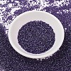 MIYUKI Delica Beads X-SEED-J020-DB1756-2