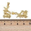 Brass Pendants KK-I358-057G-4