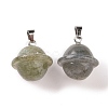 Natural Labradorite Pendants G-B041-01P-04-3