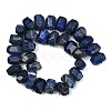 Natural Lapis Lazuli Beads Strands G-F796-D03-01-3