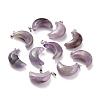 Natural Amethyst Pendants X-G-Z022-02C-1