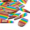 Resin & Walnut Pendants DIY Dangle Earrings Making Kits DIY-TA0011-03A-2