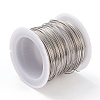 Non-Tarnish 316 Surgical Stainless Steel Wire TWIR-L004-01B-P-2