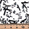 FGB Glass Seed Beads SEED-S056-010-4