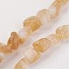 Natural Gemstone Nugget Citrine Bead Strands G-F156-01-3