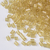 8/0 Two Cut Glass Seed Beads SEED-S033-11A-01-2