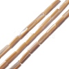 Natural Trochid Shell/Trochus Shell Beads SSHEL-O001-26A-3