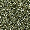 MIYUKI Delica Beads SEED-J020-DB2163-3