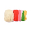 Strawberry Needle Felting Kit DIY-I091-02-3