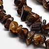 Chip Natural Tiger Eye Beads Strands G-N0134-09-3