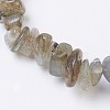 Natural Labradorite Stretch Bracelets BJEW-JB03681-07-2