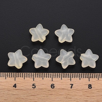 Transparent Acrylic Beads LS-MACR-S373-26E-11-1