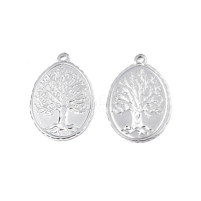 Non-Tarnish 201 Stainless Steel Pendants STAS-T063-188P-1