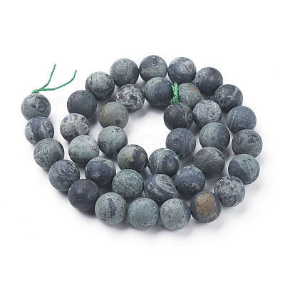 Natural Kambaba Jasper Beads Strands G-P430-02-D-1
