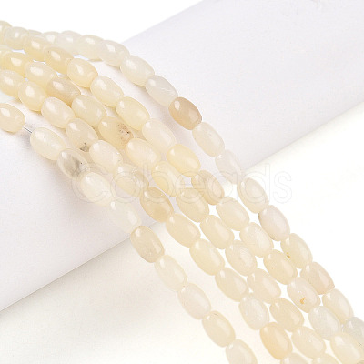 Natural White African Opal Beads Strands G-N346-02A-10-1