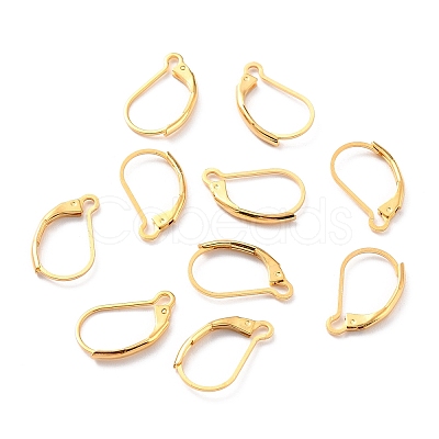 Ion Plating(IP) 304 Stainless Steel Leverback Earring Findings X-STAS-K233-04G-01-1