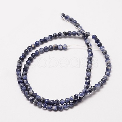 Natural Sodalite Round Bead Strands G-P072-27-10mm-1